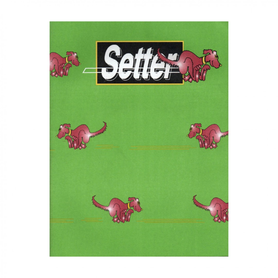 cuadtflexible-setter-48-hojas-liso-57854