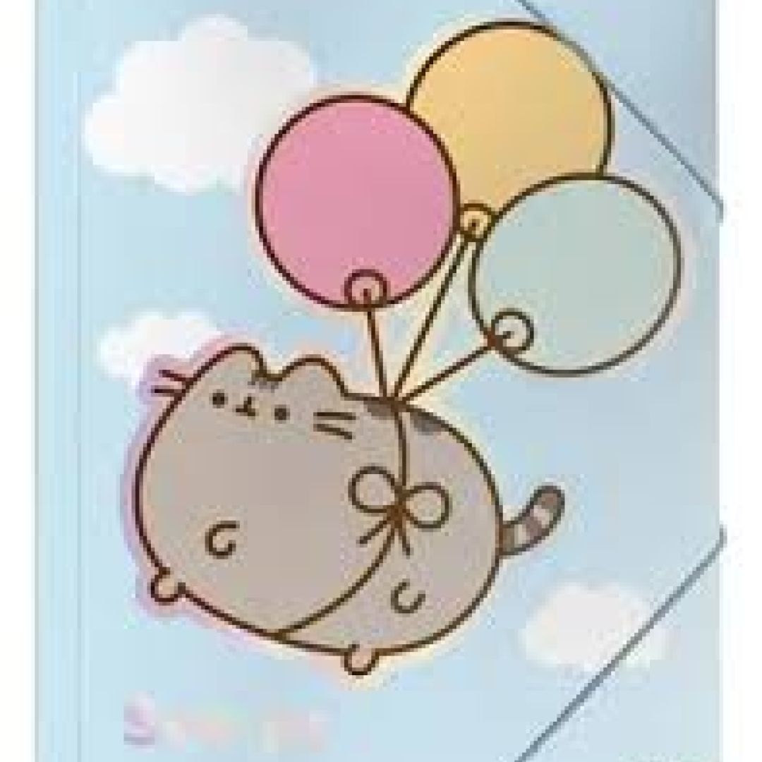 carpcelast3-solapas-mooving-pusheen-the-cat-571506