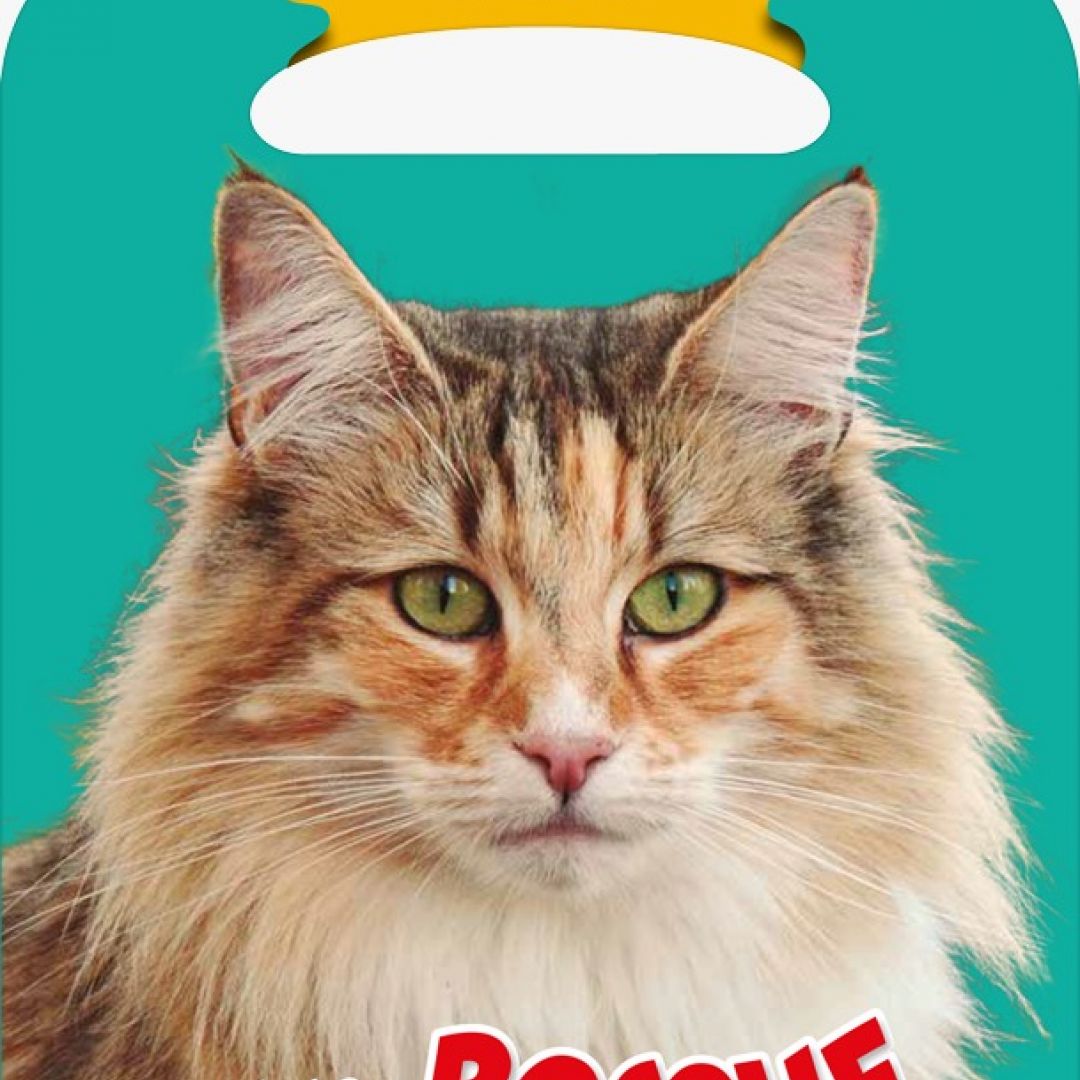 libro-artemisa-coleccion-llevame-leer-29301