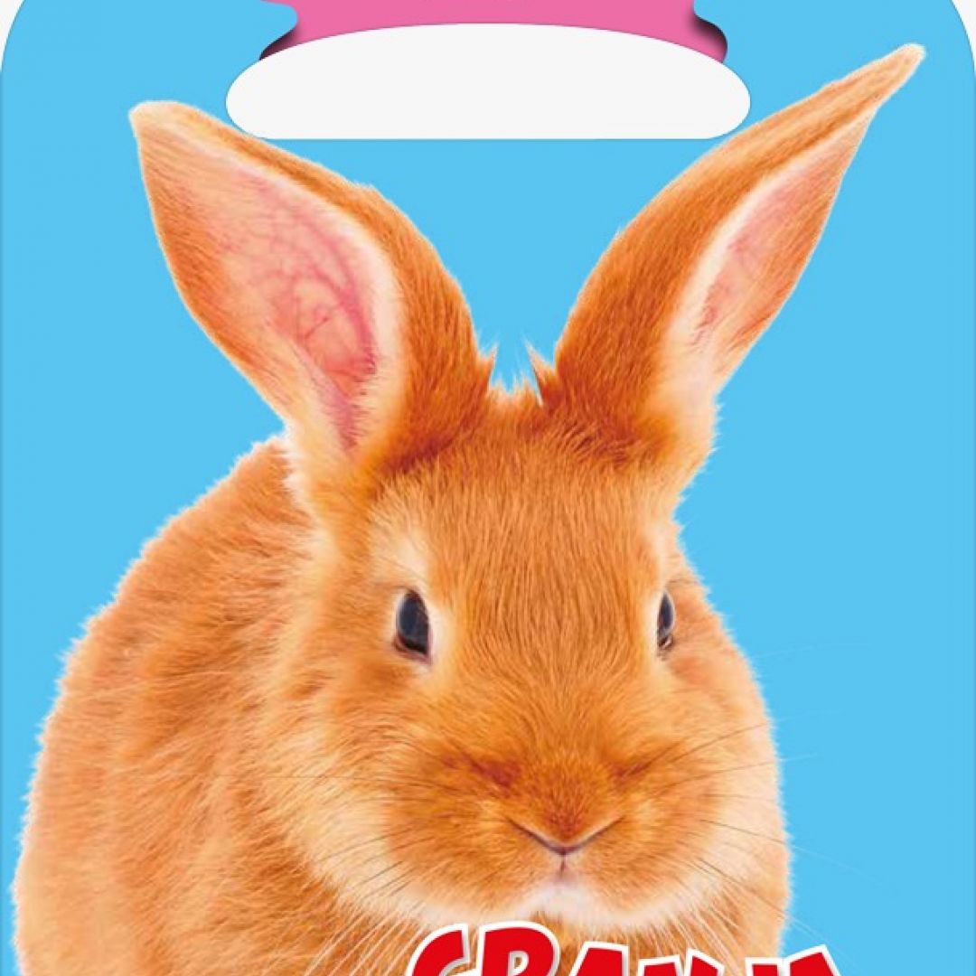 libro-artemisa-coleccion-llevame-leer-29301