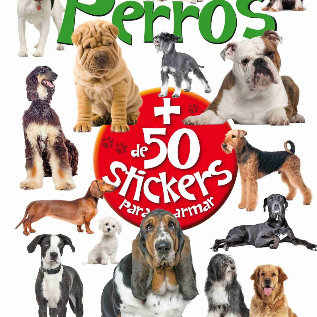 libro-artemisa-coleccion-libros-para-armar--de-50-stickers-29312