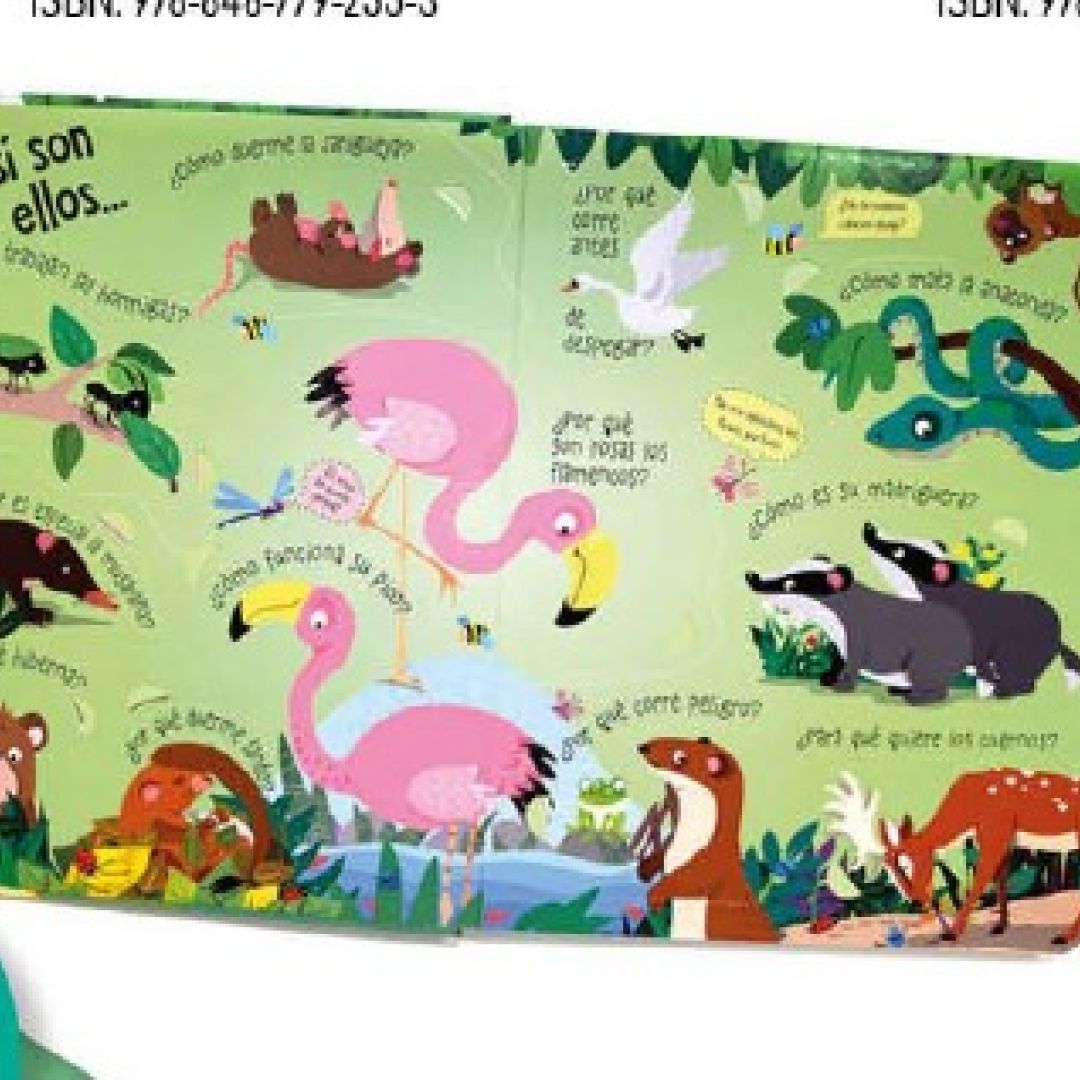 libro-infantilcom-coleccion-mira-y-descubre-tapa-dura-4543