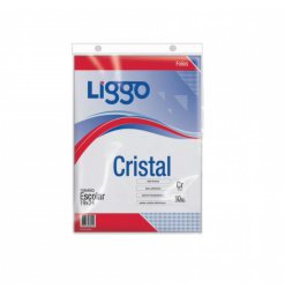 folio-escolar-liggo-polipripileno-x10un-1067